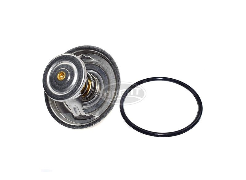 Coolant Thermostat 11531713040 for BMW
